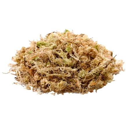Hobby - Musgo "Sphagnum"