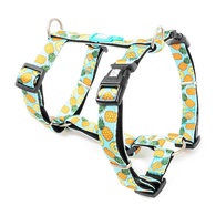 Max & Molly - Peitoral "Sweet Pineapple"