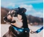 Max & Molly - Trela "Matrix Sky Blue" - Azul