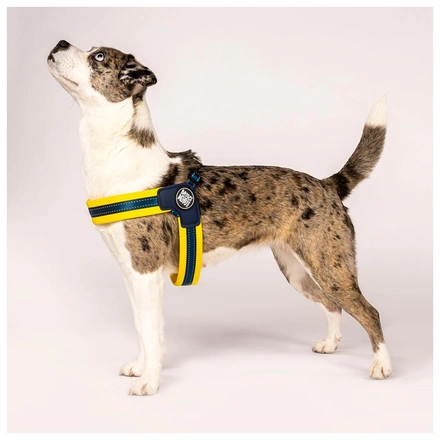 Max & Molly - Peitoral Q-Fit "Matrix Yellow" - Amarelo