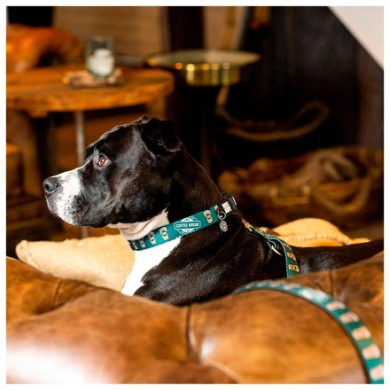 Max & Molly - Trela Multi "Coffee Break"