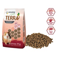 Terra Expert - Alimento Extrusionado Para Porquinhos-Da-Índia