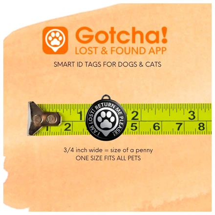 Gotcha! Pet Tag - Identificador/Localizador Pet