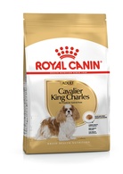 Royal Canin Cão BHN Cavalier KC Ad 3kg