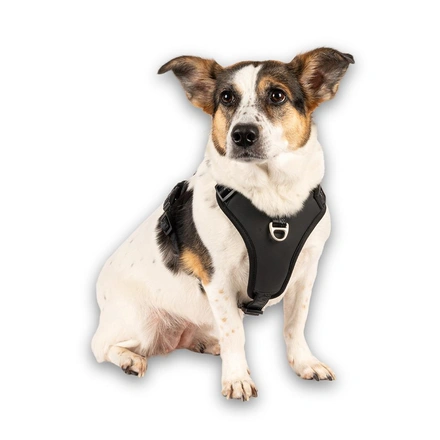 Max & Molly - Peitoral Sport "Matrix 2.0" - Preto