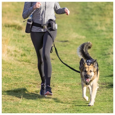 Trela "Mãos Livres" E Cinto Em Nylon