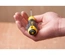 Chaves de Fendas STANLEY Cushion Grip - Pozidriv STHT16163-0