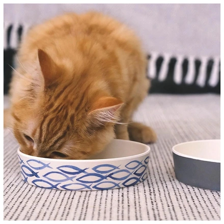 Beco Classic Bambu Bowl Para Gato - Gone Fishing