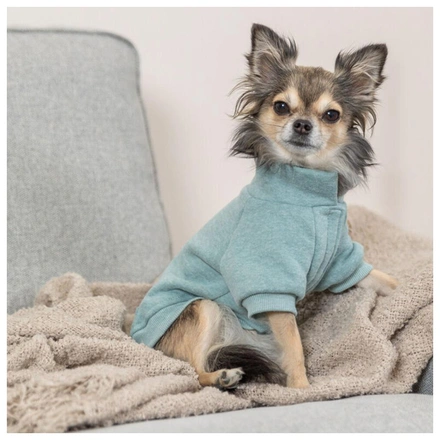 Sweatshirt "Littleton" Para Cães