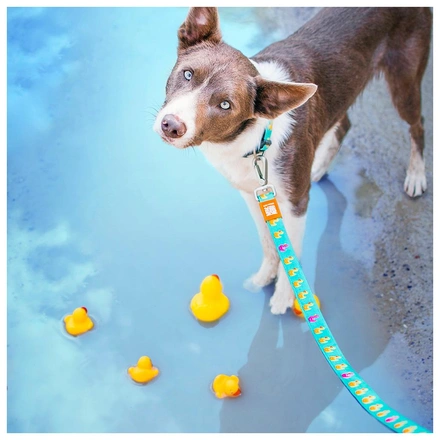 Max & Molly - Trela "Ducklings"