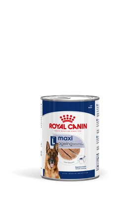 Royal Canin Cão SHN MAXI AGEING CIL 12X410G