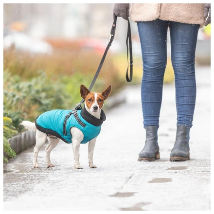 Capa "Pontis" Com Peitoral Para Cães - Azul