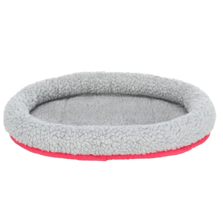 Cama Lavável Para Porquinhos-Da-Índia