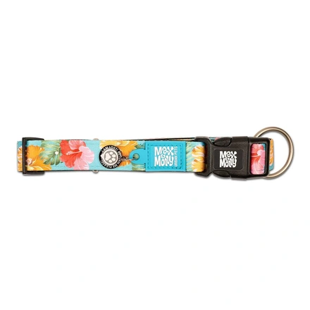 Max & Molly - Coleira Com Id Tag "Exotique"