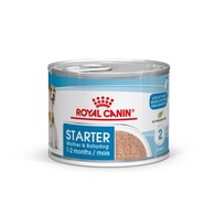 Royal Canin Cão STARTER MOUSSE 12X195G