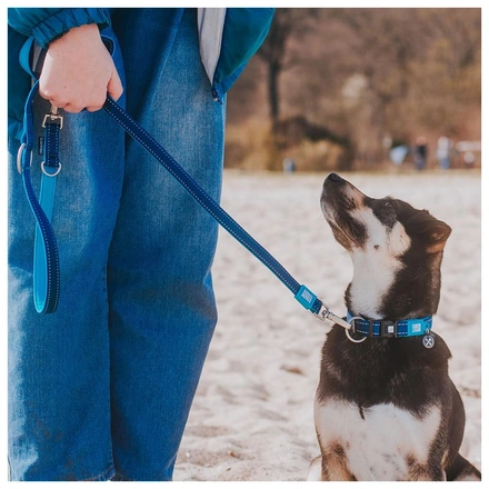 Max & Molly - Coleira Com Id Tag "Matrix Sky Blue" - Azul