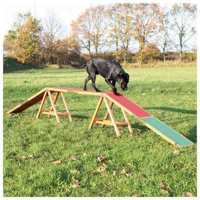 Dogwalk Para Agility