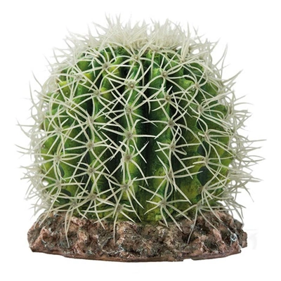 Decoração Para Terrário "Cactus Sonora"