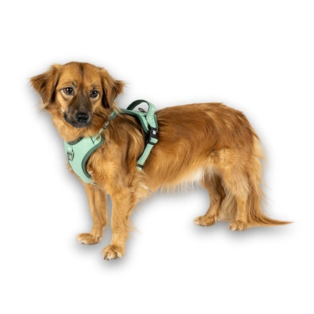 Max & Molly - Peitoral Sport "Matrix 2.0" - Sálvia