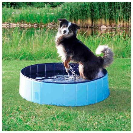 Piscina Para Cães