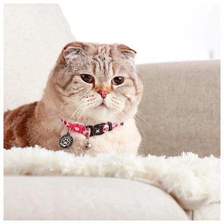Max & Molly - Coleira Com Id Tag "Strawberry Dream" Para Gato