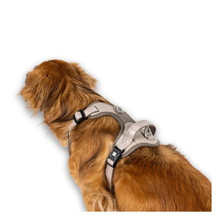 Max & Molly - Peitoral Sport "Matrix 2.0" - Areia