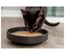 Sopa De Salmão Com Frango