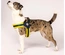 Max & Molly - Peitoral Q-Fit "Matrix Yellow" - Amarelo
