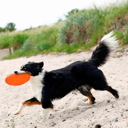 Disco/Frisbee em Borracha Termoplástica