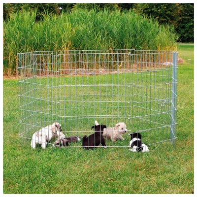 Recinto Galvanizado Com Porta Para Cachorros