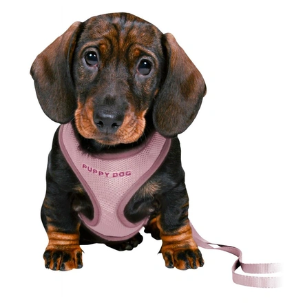 Junior - Soft Peitoral Com Trela Para Cachorro - Lilás Claro