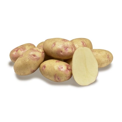 Batata Semente Picasso