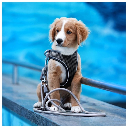 Max & Molly - Peitoral Air-Vest "Matrix 2.0" - Preto