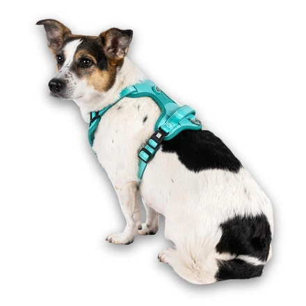 Max & Molly - Peitoral Sport "Matrix 2.0" - Turquesa