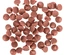Bombons Vitamínicos Com Frutos Silvestres Para Roedores