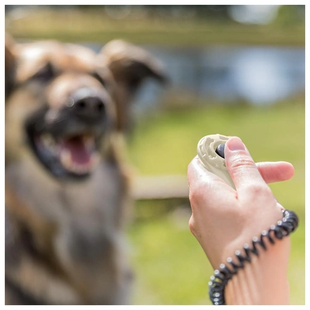 Clicker "Sporting" (Para Treino De Cães)