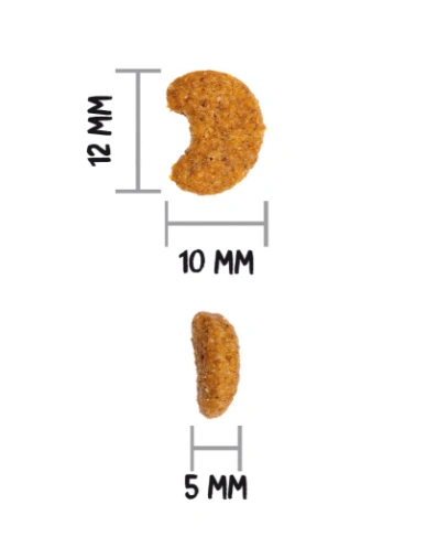 Ownat Classic Gato Hairball