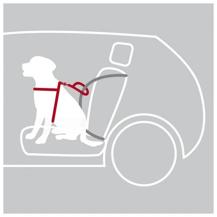 Peitoral De Segurança "Dog Protect"