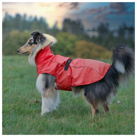 Capa "Vimy" Para Cães - Vermelho