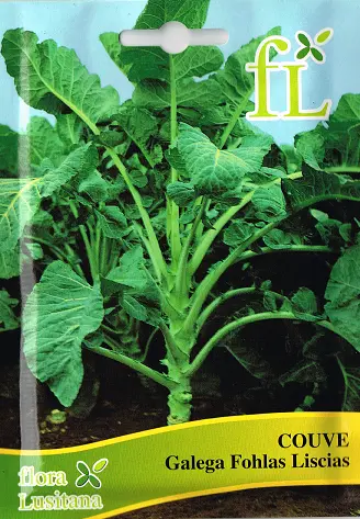 Galizischer Kohl - Couve Galega - Die